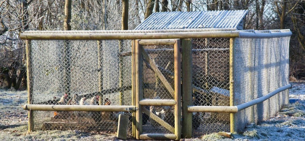 Winter-chicken-coop