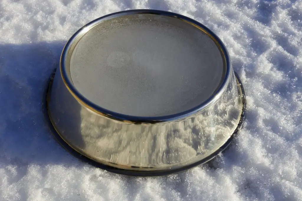 Frozen water bowl
