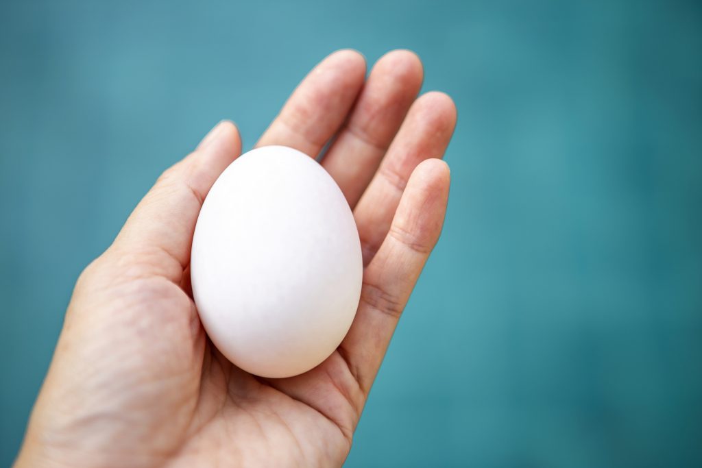 White duck egg in girl hand over blurred blue background, outdoor day light